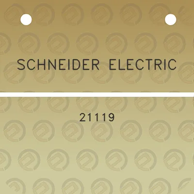 schneider-electric-21119