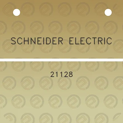 schneider-electric-21128