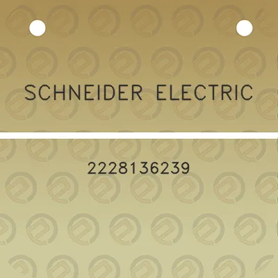 schneider-electric-2228136239