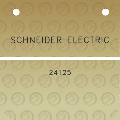 schneider-electric-24125