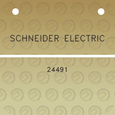 schneider-electric-24491