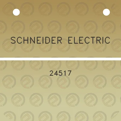 schneider-electric-24517