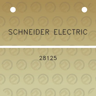 schneider-electric-28125