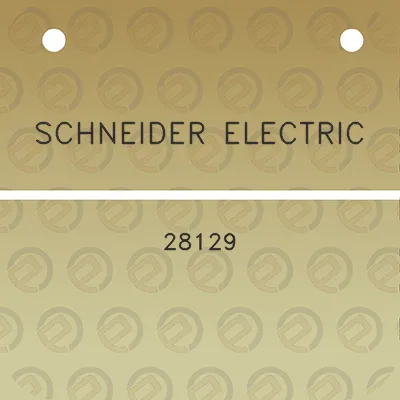 schneider-electric-28129