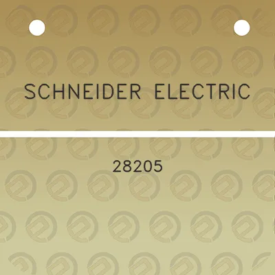 schneider-electric-28205