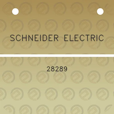 schneider-electric-28289