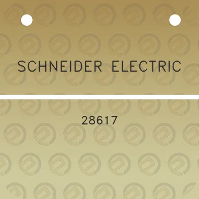 schneider-electric-28617