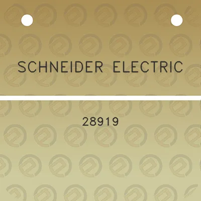 schneider-electric-28919