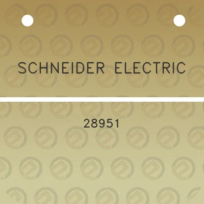 schneider-electric-28951