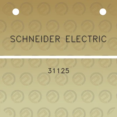 schneider-electric-31125