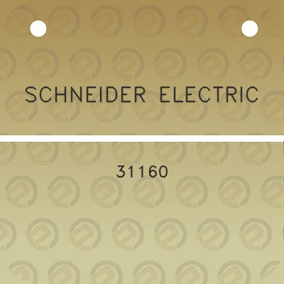 schneider-electric-31160