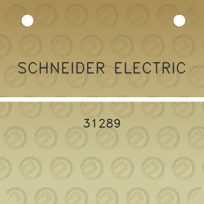 schneider-electric-31289