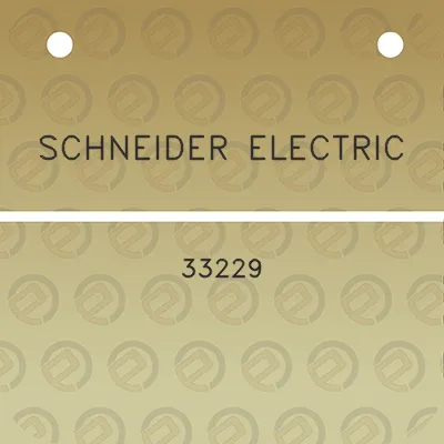 schneider-electric-33229