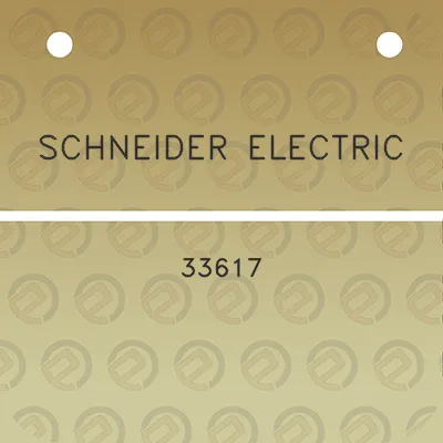 schneider-electric-33617