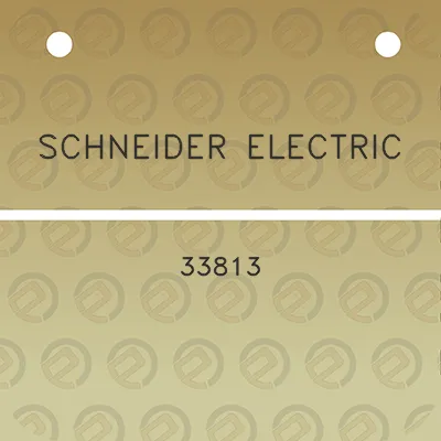 schneider-electric-33813