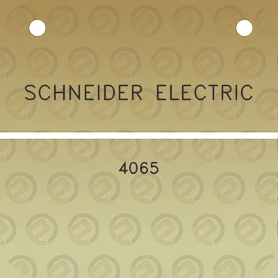 schneider-electric-4065