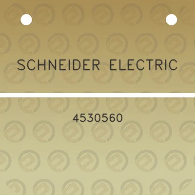 schneider-electric-4530560