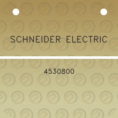 schneider-electric-4530800