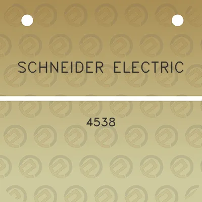 schneider-electric-4538