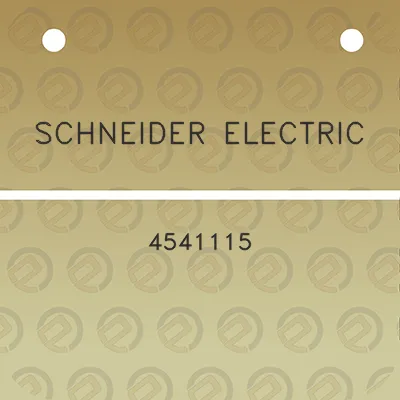 schneider-electric-4541115