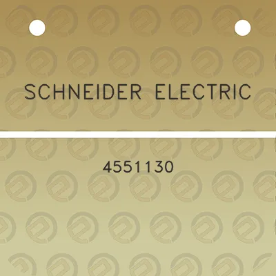 schneider-electric-4551130