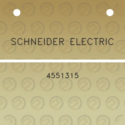 schneider-electric-4551315