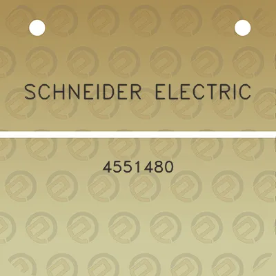 schneider-electric-4551480