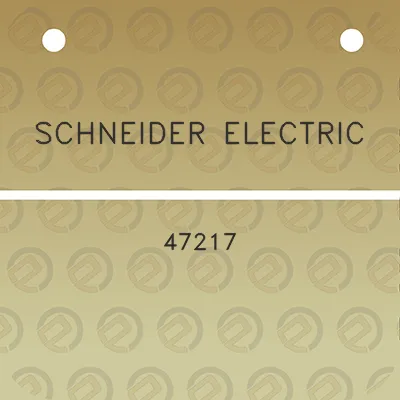 schneider-electric-47217