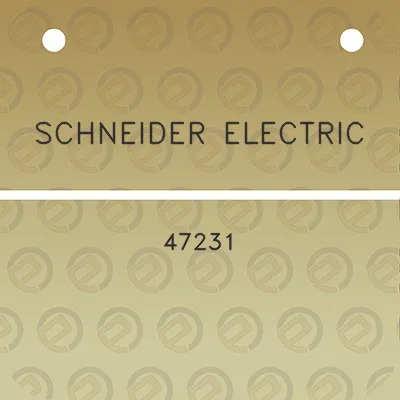 schneider-electric-47231