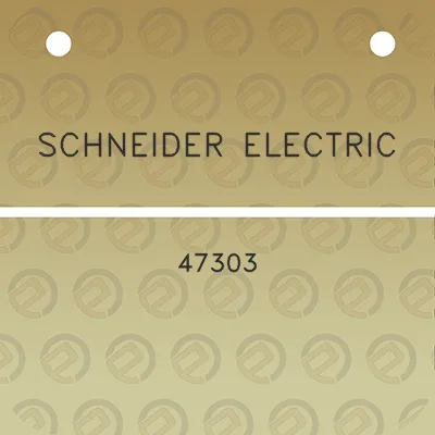 schneider-electric-47303