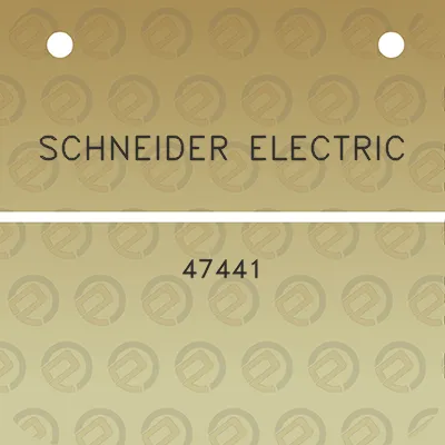 schneider-electric-47441