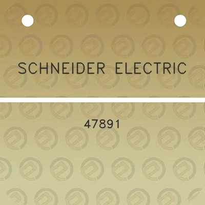 schneider-electric-47891