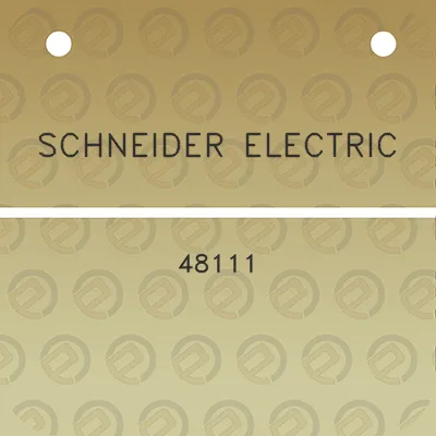 schneider-electric-48111