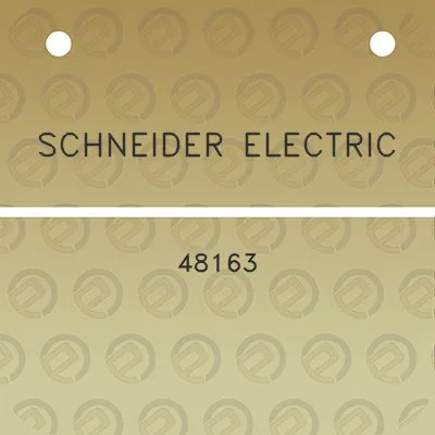 schneider-electric-48163