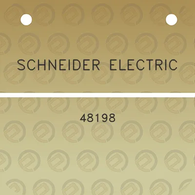 schneider-electric-48198