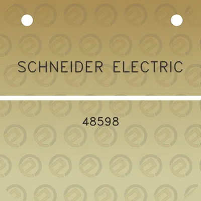 schneider-electric-48598