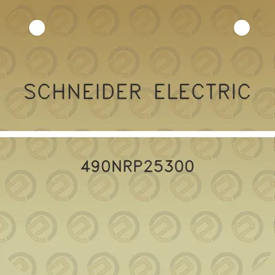 schneider-electric-490nrp25300