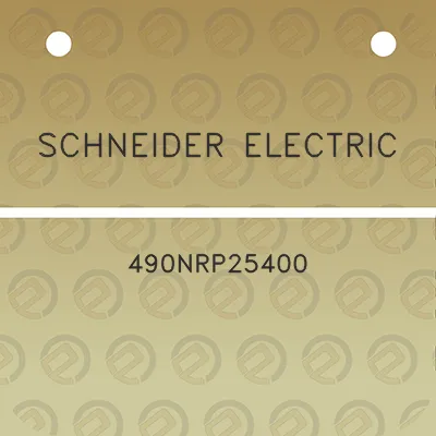 schneider-electric-490nrp25400