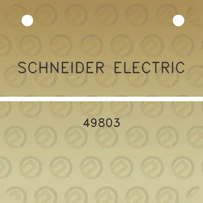 schneider-electric-49803