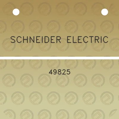 schneider-electric-49825