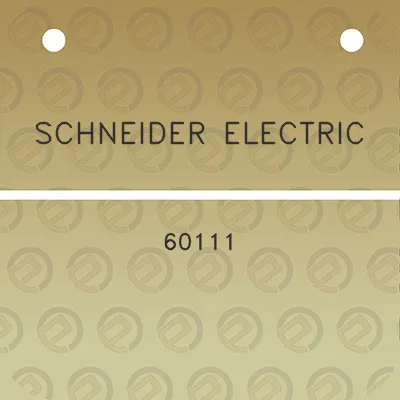 schneider-electric-60111