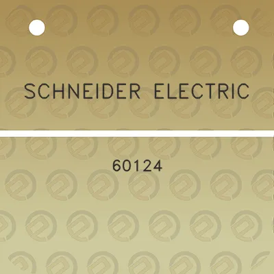 schneider-electric-60124