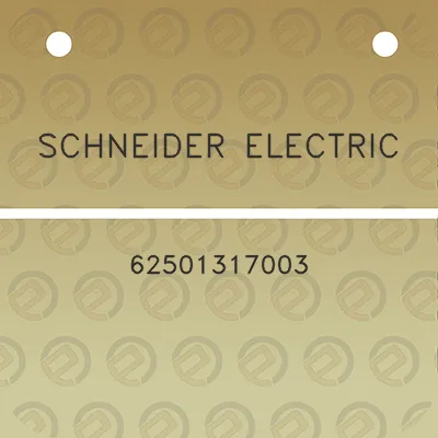 schneider-electric-62501317003