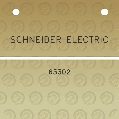 schneider-electric-65302