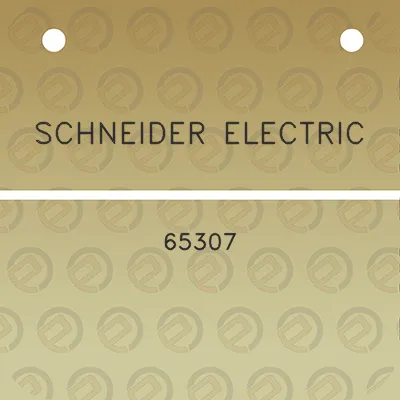 schneider-electric-65307