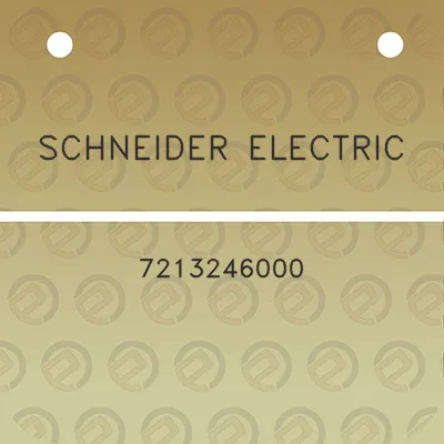 schneider-electric-7213246000