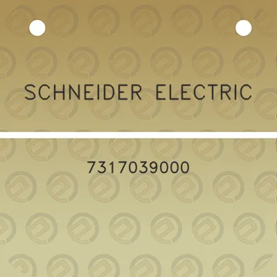 schneider-electric-7317039000