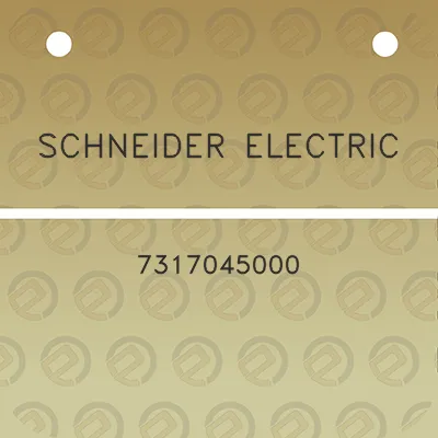 schneider-electric-7317045000