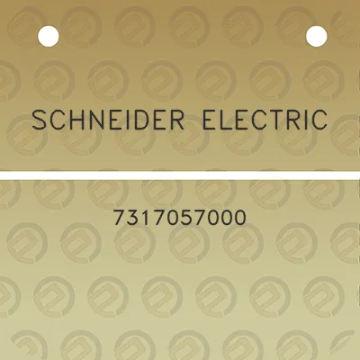 schneider-electric-7317057000