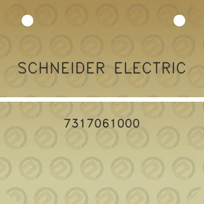 schneider-electric-7317061000